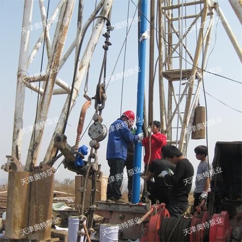 高揚程潛油電泵