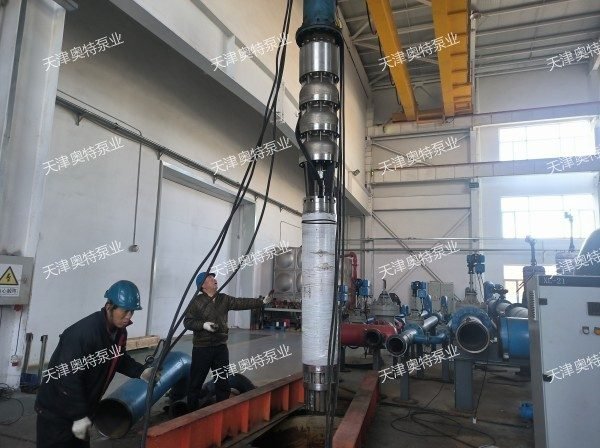 船用/海洋平臺耐腐蝕潛水泵