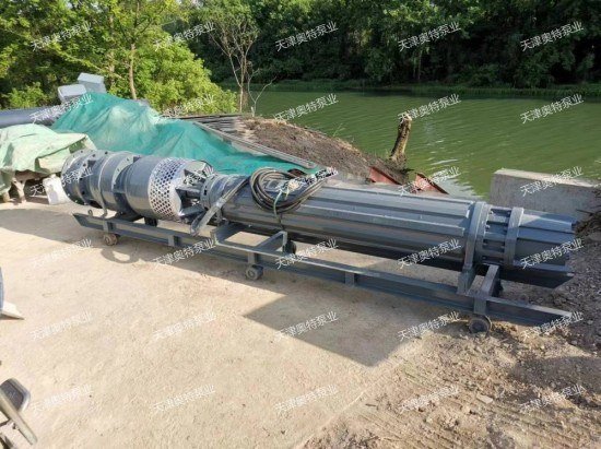 帶輪斜式安裝潛水泵