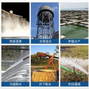 大流量流量浮筒式大型潛水泵_水庫抽水大流量高揚(yáng)程浮箱式潛水泵