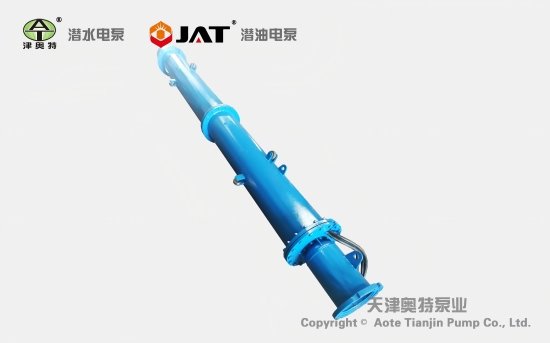 帶輪斜式安裝潛水泵